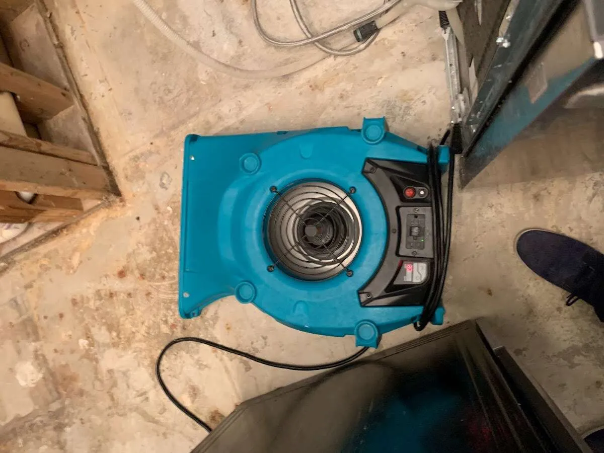 Air mover drying equipment for Mold Remediation & Removal in Fair Oaks